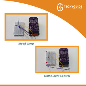 TeBoT Champ Kit